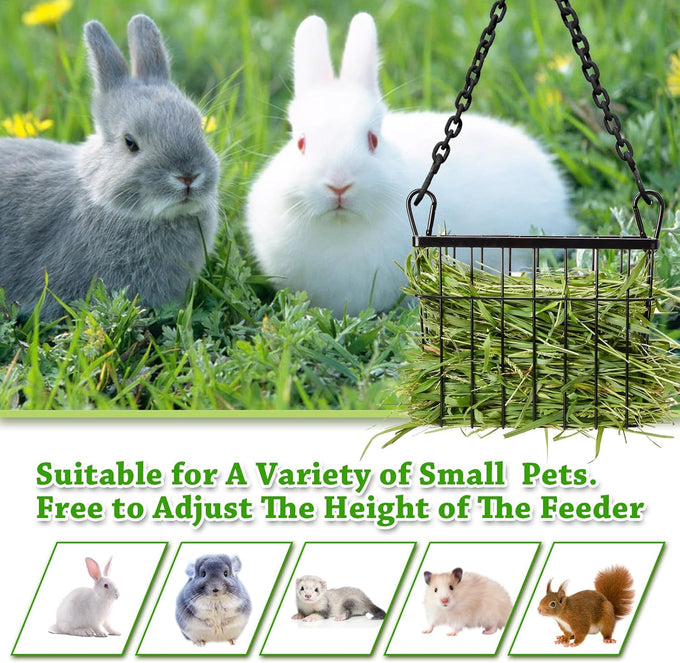 sangle sophfy rabbit hay feeder small animal feeding set with 350ml water bottle