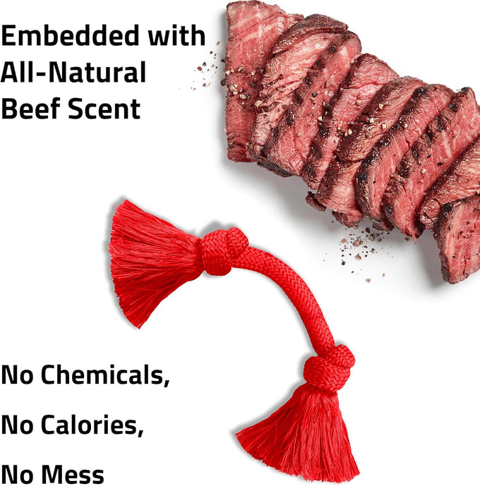 Playology dog toys Dri-Tech rope tug of war dog toy for tough chewers medium size beef scented
