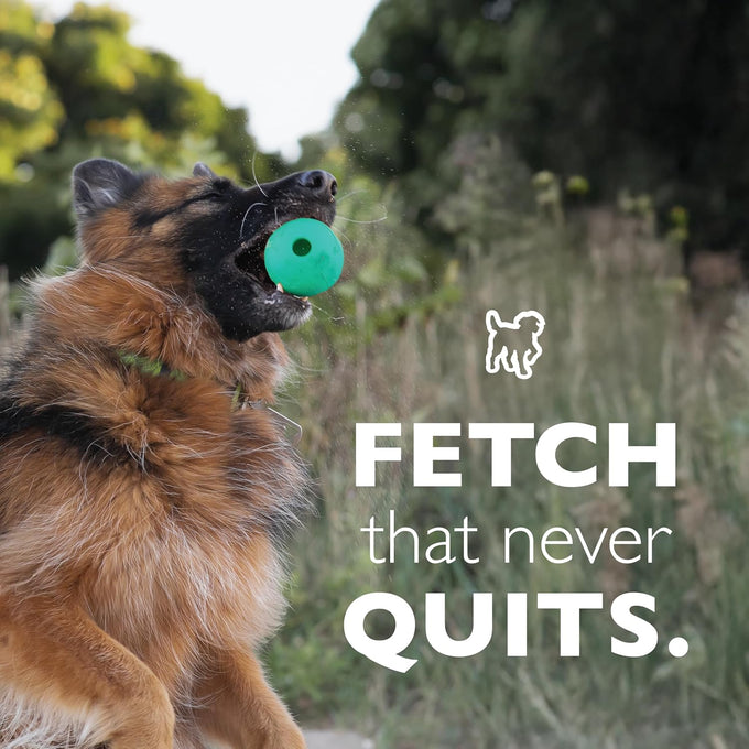 Chew King 3 inch natural rubber fetch balls durable dog toy pack of 3