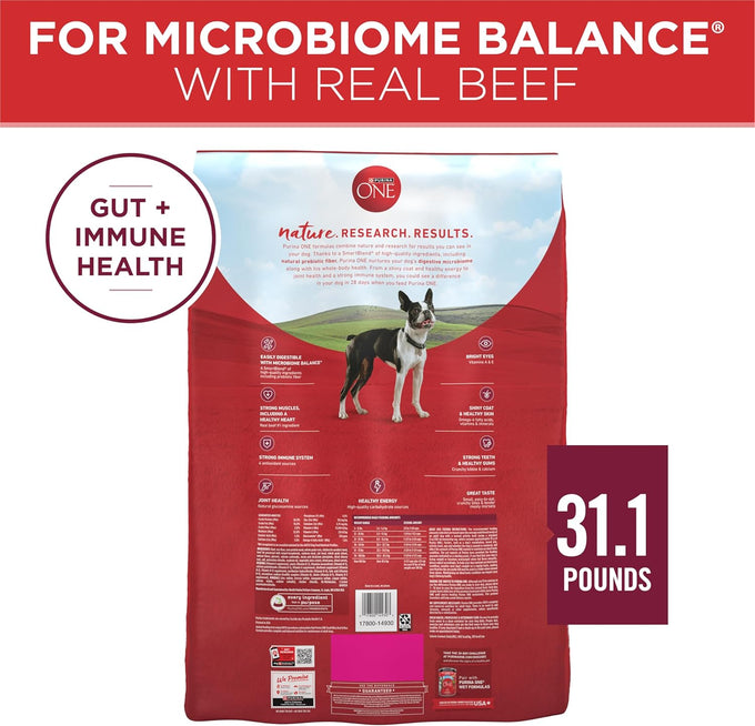 Purina ONE Small Bites Beef & Rice Dry Dog Food - 31.1 lb
