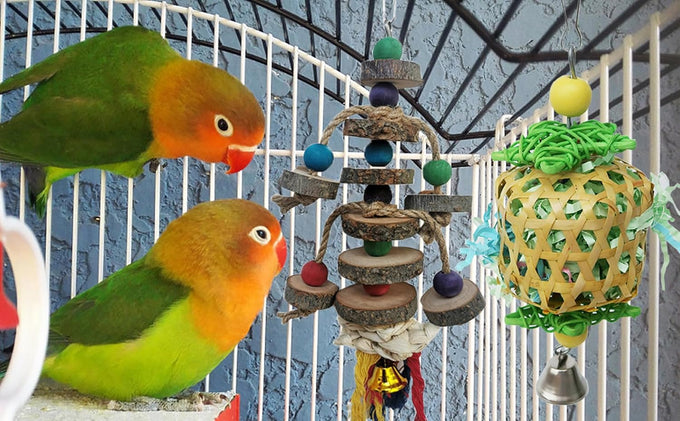 Bird Toys for Conures Parakeet birds cage accessories bird shredding foraging toys with natural rattan and apple wood
