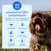 native pet the daily dog vitamins & supplements 11-in-1 multivitamin powder for dogs supports whole body health digestion mobility & immunity