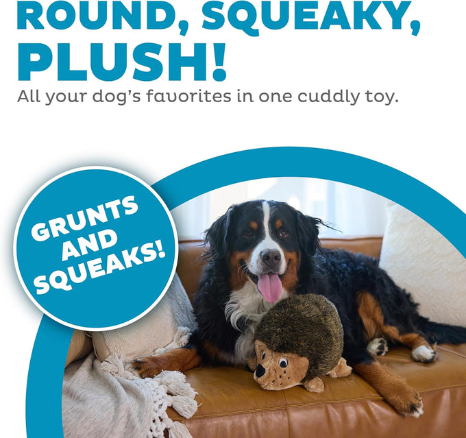 outward hound hedgehogz soft plush hedgehog dog toy, grunts & squeaks, xl, 12" x 8.5" x 9"