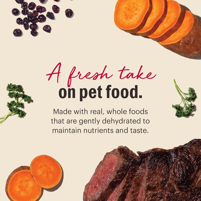 The Honest Kitchen Dehydrated Grain-Free Dog Food, Beef, 4 lb