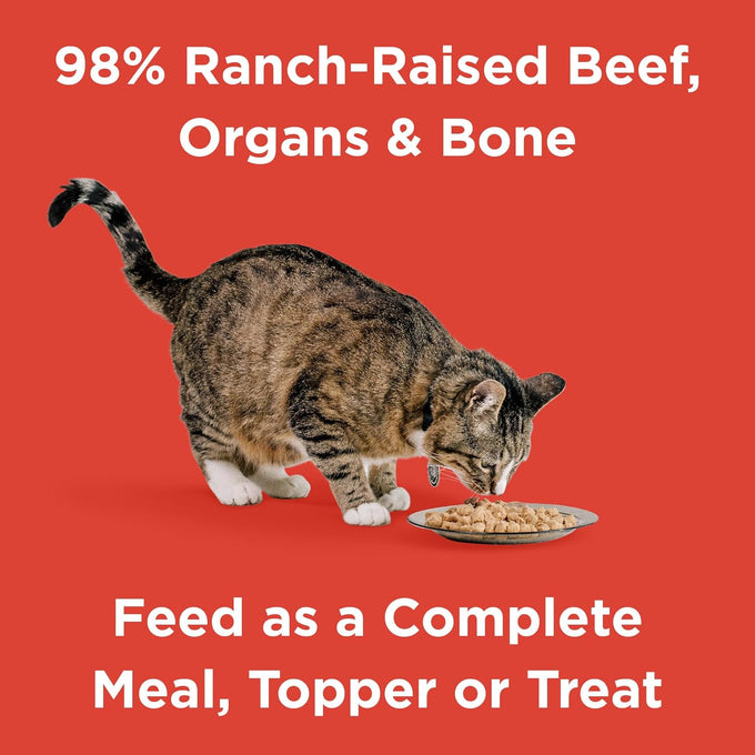 bixbi rawbble freeze-dried beef cat food 97% meat and organs no fillers pantry-friendly usa made in small batches