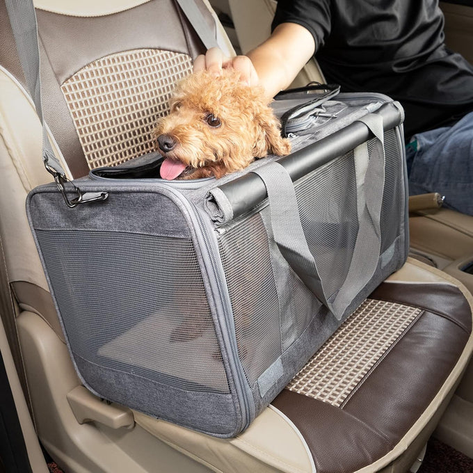 GAPZER Large Cat Carrier for Medium Big Cats, Soft-Sided, Washable, and Collapsible Pet Travel Bag