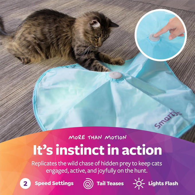 SmartyKat battery-powered electronic motion toys for cats and kittens, multiple styles available