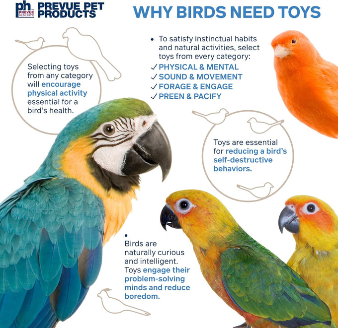 prevue-pet-products-sound-movement-mr-mustache-bird-toy-62614-environmentally-friendly-noise-stimulation-toy-for-birds
