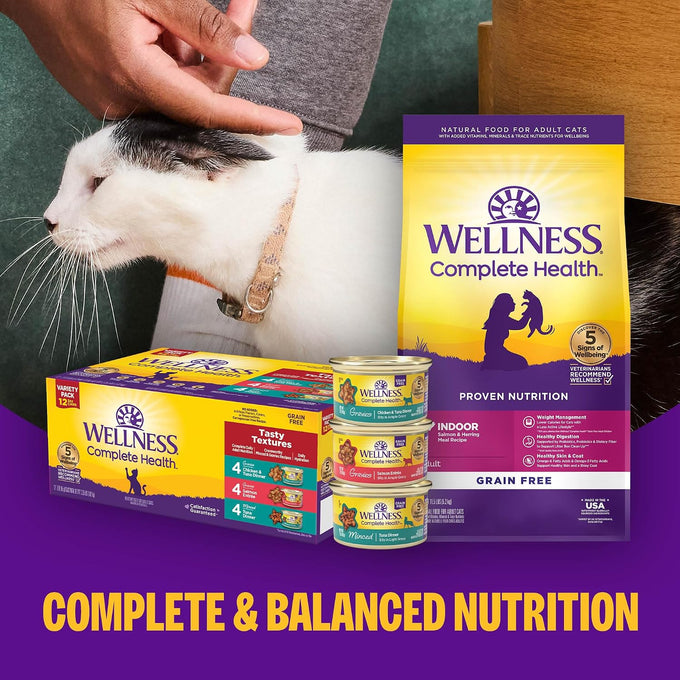 Wellness Complete Health Pate Variety Pack Adult Canned Wet Cat Food, Natural, Protein Rich, Grain Free, Chicken and Turkey Favorites, 3 oz, Pack of 24 Cans