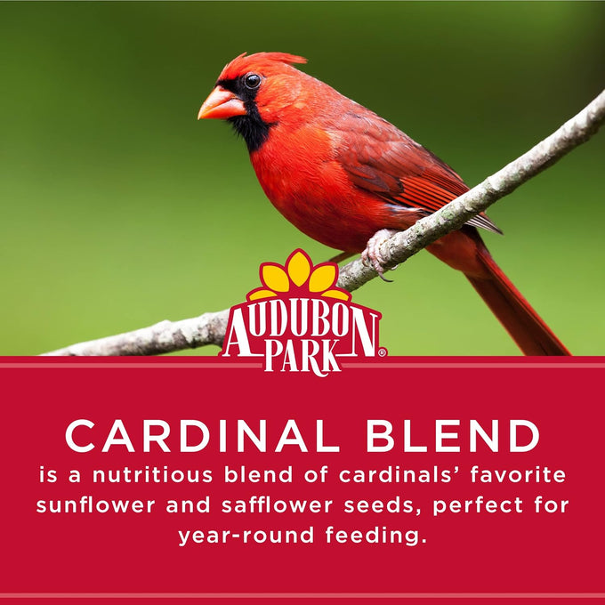 Audubon Park Cardinal Blend Wild Bird Food 4-Pound Bag with 100% Sunflower and Safflower Seed