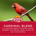 Audubon Park Cardinal Blend Wild Bird Food 4-Pound Bag with 100% Sunflower and Safflower Seed