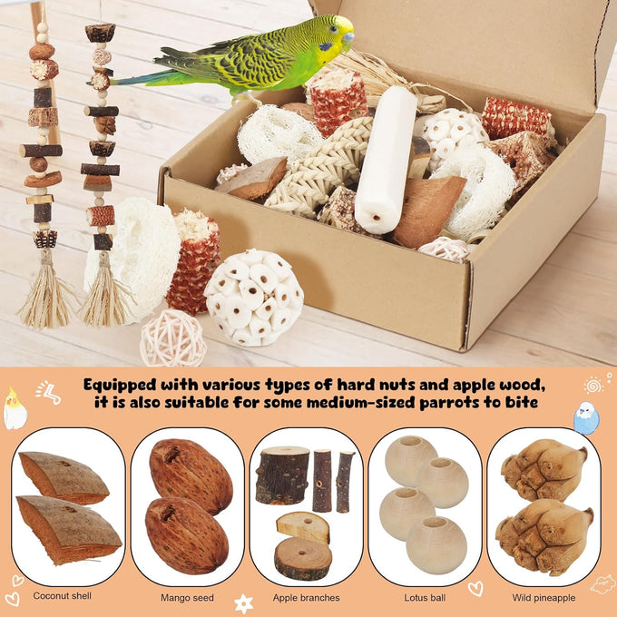 Bird Toys Parrot Natural Foraging Box Medium for Parakeets, Cockatiels, Conures, Small to Medium Birds Cage Accessories