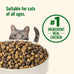 Rachael Ray Nutrish Premium Natural Dry Cat Food, Chicken and Brown Rice, 14 Pounds