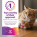 SmartyKat (2 Count Tea Teazers Catnip Cat Toys - Pink/Orange, 6.88" x 2.5" x 0.25")
