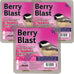Heath Outdoor Products berry blast suet cakes 3 pack for woodpeckers cardinals and many more wild bird species