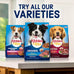 Kibbles 'n Bits Mini Bits Small Breed Dry Dog Food, 16 lb