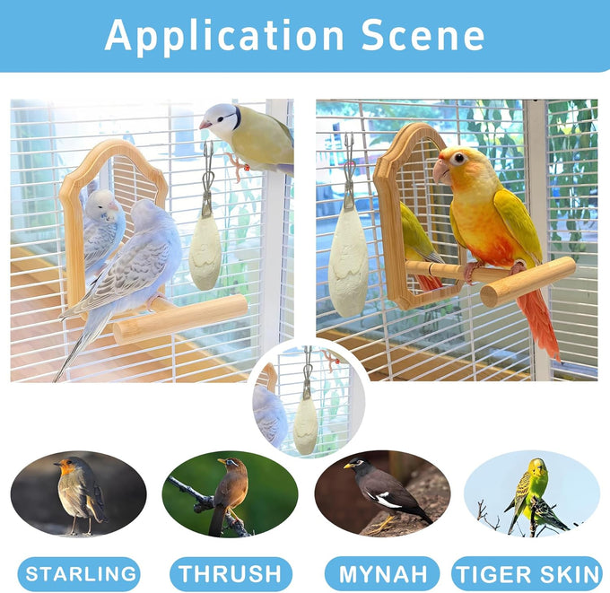 jmxu 3.5-4 cuttlebone for parakeets birds calcium supplement natural chew toys