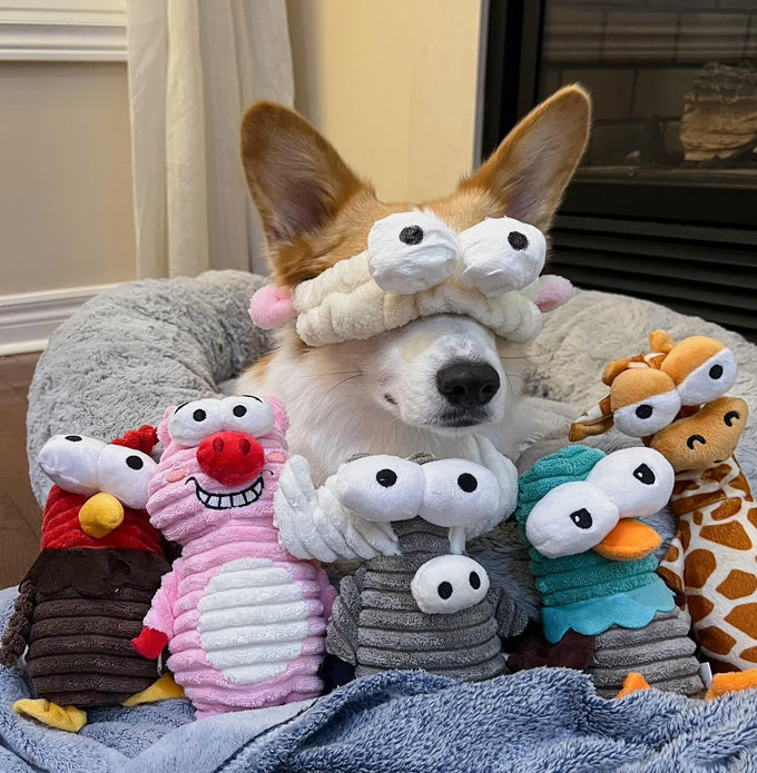Nocciola 5-pack squeaky dog toys, durable stuffed critter zoo dog toys for small, medium, and large dogs