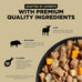 Go! Solutions Carnivore Grain-Free Shredded Lamb + Wild Boar Wet Dog Food