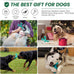 Blue Indestructible Natural Rubber Bone Toy for Large Breed Aggressive Chewers Dogs, Durable and Easy Cleaning