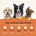 Canidae All Life Stages Real Chicken & Potato Dog Food - 4 lbs
