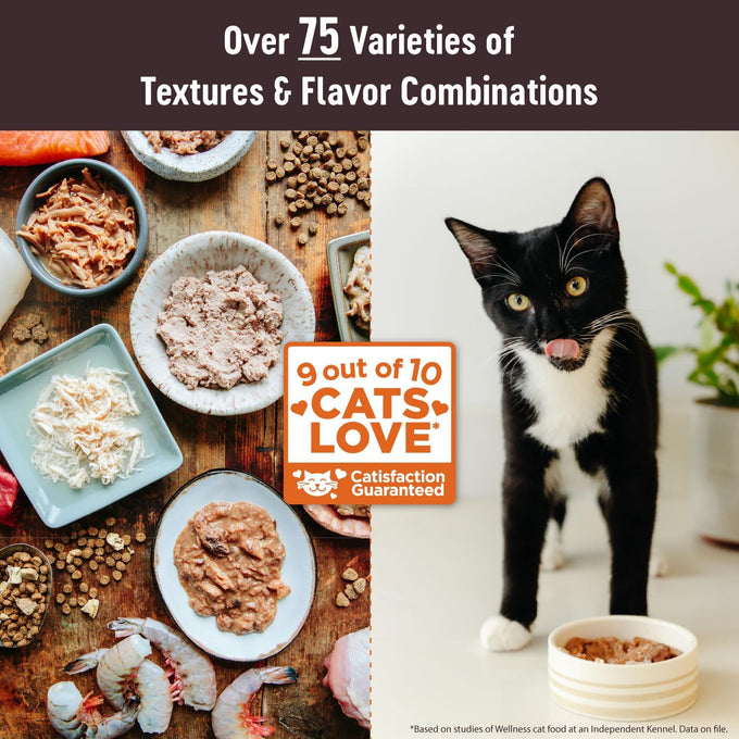 wellness-core-tiny-tasters-pate-adult-wet-cat-food-natural-protein-rich-grain-free-duck-recipe-pack-of-12-pouches