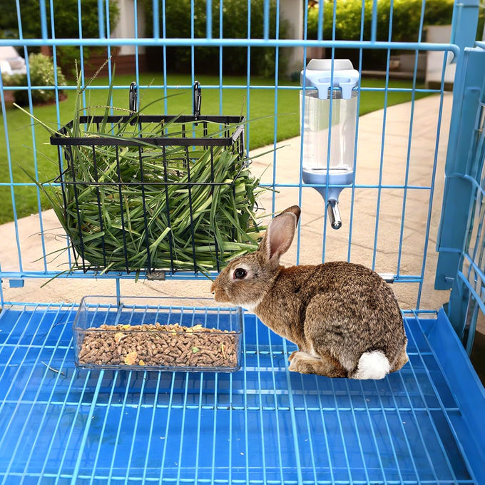 sangle sophfy rabbit hay feeder small animal feeding set with 350ml water bottle
