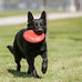 Kong Classic Natural Rubber Flying Disc for Medium/Large Dogs - Durable Outdoor Toy for Fetch Playtime