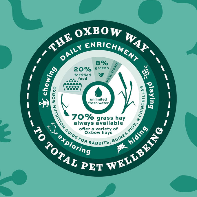 Oxbow orchard grass hay for small pets in 40 oz bag - all-natural long strand fiber hay for digestive health and enrichment