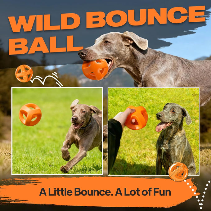 fida natural rubber dog balls for aggressive chewers 4.5 x 4.5 inches non-toxic durable