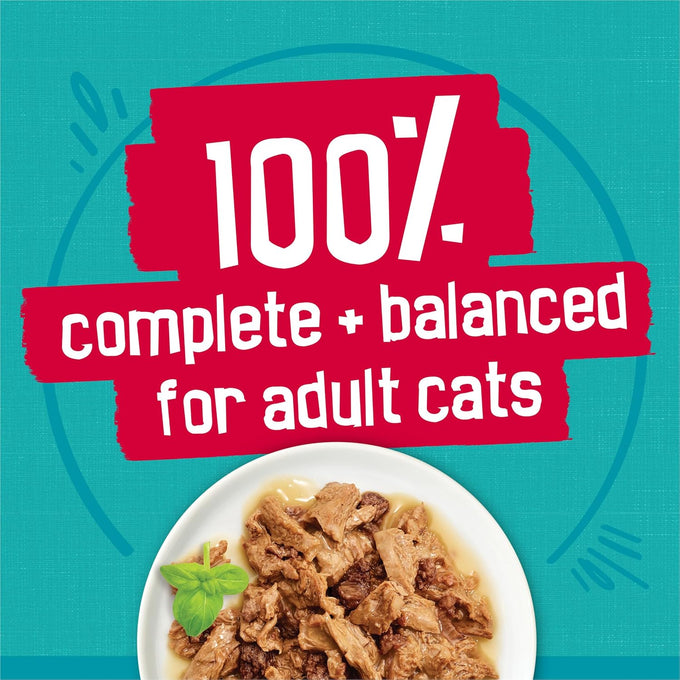 Purina Friskies 5.5 Ounce Wet Cat Food Variety Pack with Ocean Fish Tuna Chicken Turkey
