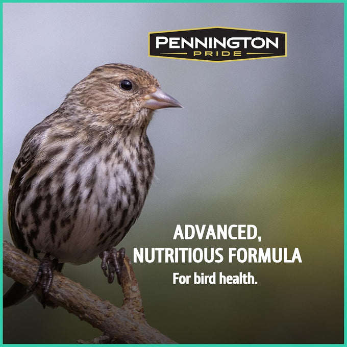Pennington Pride Wild Finch Blend, 10-lb. Bag, Year-Round Wild Bird Seed for Outdoor Feeders, Attracts Musical Songbirds