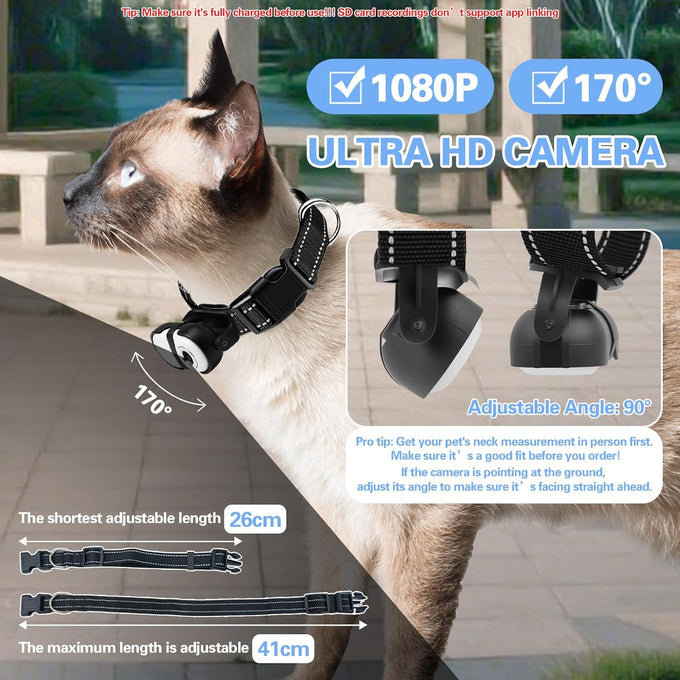HD 1080P Pet Camera Collar with Video Record Wireless Mini Sport Cam, Small Action Cameras for Pet Supplies