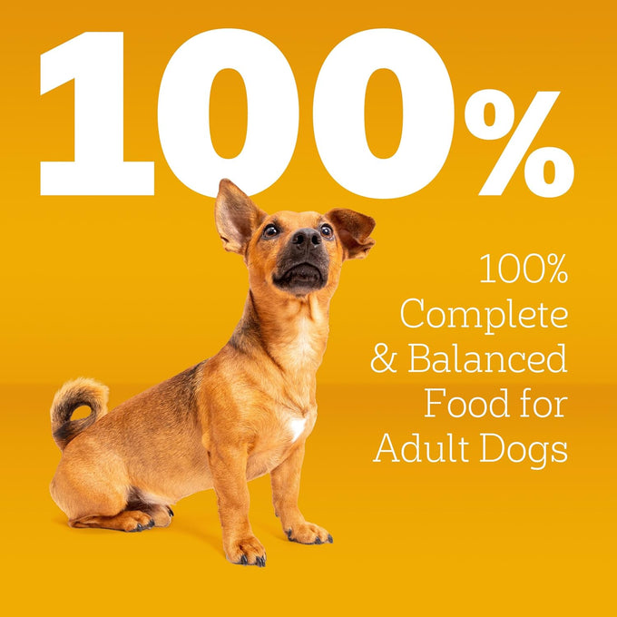 Pedigree Grilled Steak & Vegetable Dry Dog Food, 14 lb.