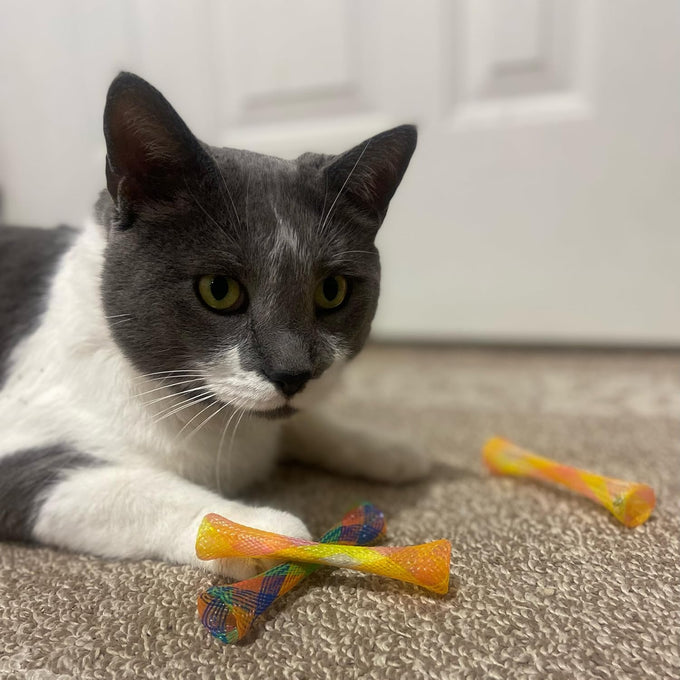 Spot Kitty Fun Tubes Cat Toy 3-Piece Bouncy Set with Catnip for Cats and Kittens Interactive Play