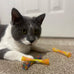 Spot Kitty Fun Tubes Cat Toy 3-Piece Bouncy Set with Catnip for Cats and Kittens Interactive Play