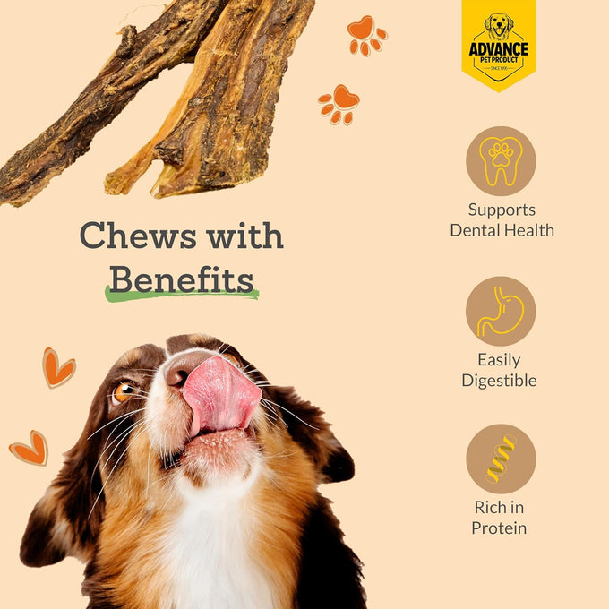 Natural Beef Jerky Dog Treats, 6" Long, 30 Count/Pack, Advance Pet Products