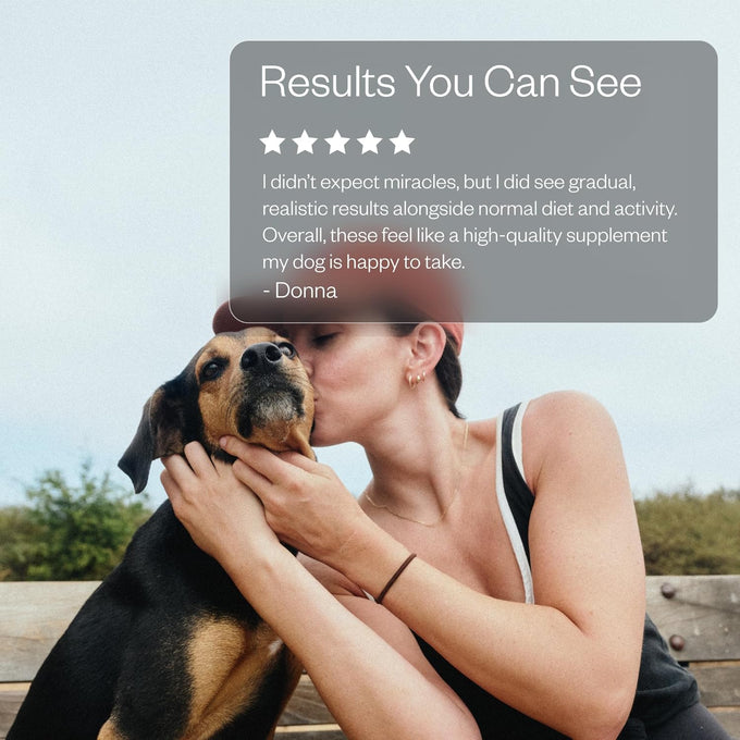 Maev 100% USDA Certified Single-Ingredient Freeze Dried Raw Beef Liver Dog Treats for Training & Sensitive Diets