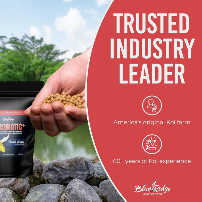 Blue Ridge Probiotic Plus 3/16" Floating Pellet Koi Food, 5lb, for Immunity and Digestion