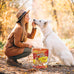 jungle calling multi-flavor kabob dog snacks, made with chicken, duck, beef, sweet potatoes, and pumpkin