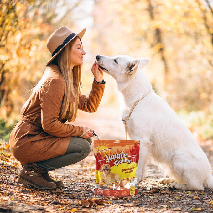 jungle calling multi-flavor kabob dog snacks, made with chicken, duck, beef, sweet potatoes, and pumpkin