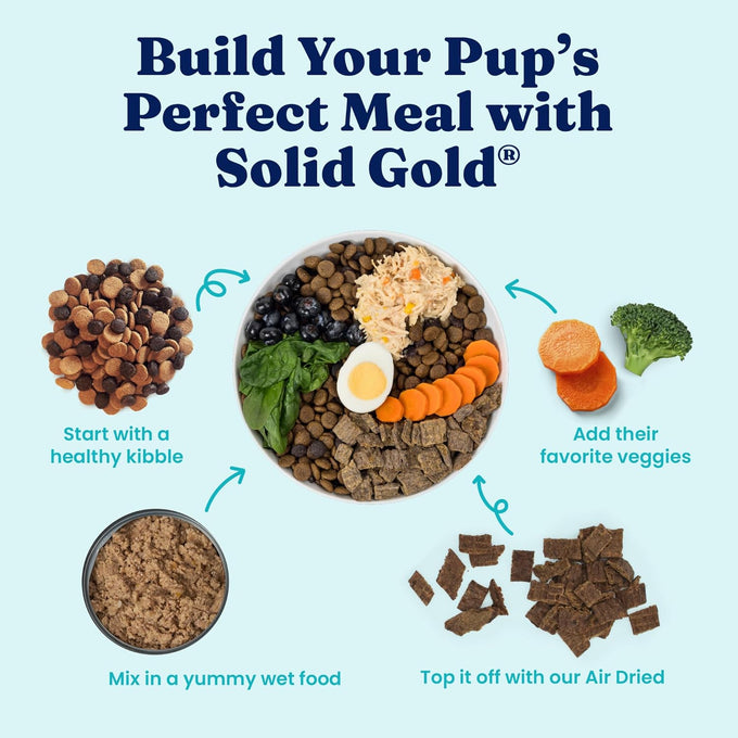 Solid Gold Chicken Wet Dog Food - High Protein, Gut Health