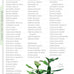 companionhouse-books-aquarium-plants-essential-guide-paperback-2004