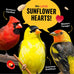 cool-birds-hearts-on-fire-hot-bird-seed-10-lb-100-hulled-sunflower-hearts-with-chili-pepper-oil