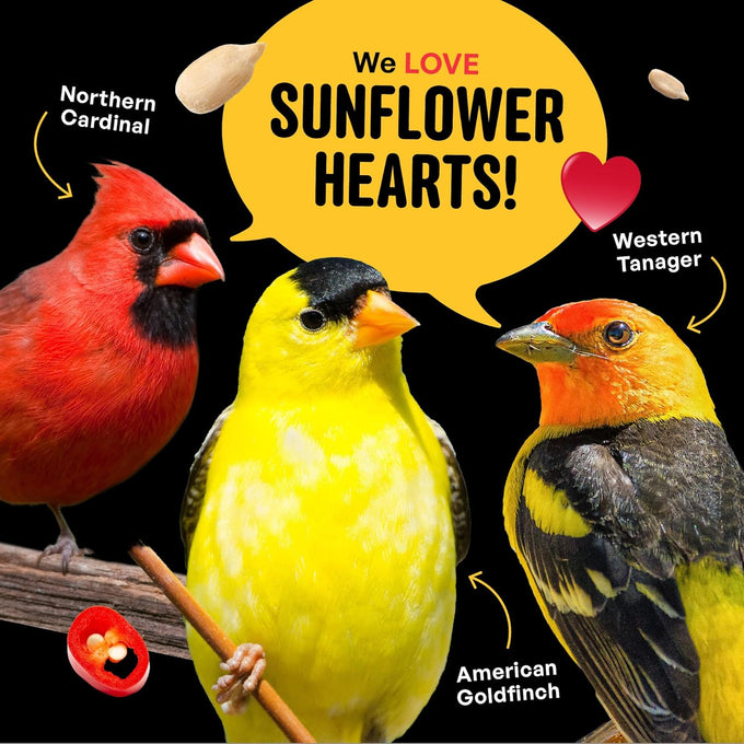 cool-birds-hearts-on-fire-hot-bird-seed-10-lb-100-hulled-sunflower-hearts-with-chili-pepper-oil