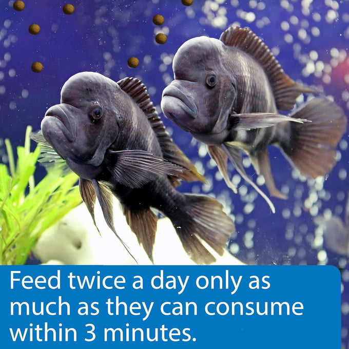 API CICHLID LARGE PELLETS 7.1-Ounce Floating Fish Food for Large Cichlids, Natural Ingredients, 5 Inch Plus
