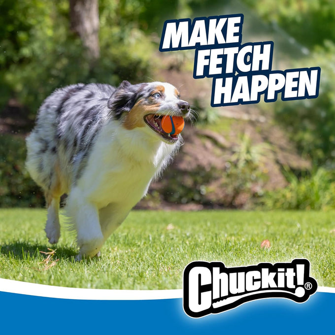 Chuckit! Ultra Ball Dog Toy - Medium Rubber Bouncy Fetch Balls for 20-60 lb Dogs - 2.5-inch Diameter, Pack of 2
