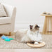JXFUKAL interactive cat toy 3 in 1 with stable wooden base 2 PCS detachable cat teaser 5PCS refills & elastic string for kitty kitten toys