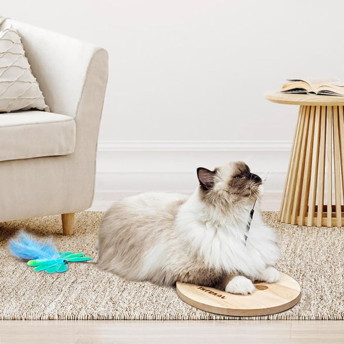 JXFUKAL interactive cat toy 3 in 1 with stable wooden base 2 PCS detachable cat teaser 5PCS refills & elastic string for kitty kitten toys