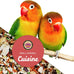 Small Hookbill Cuisine, 4 Lbs Premium Birdseed for Parrot Food, Supports Daily Energy and Digestive Health